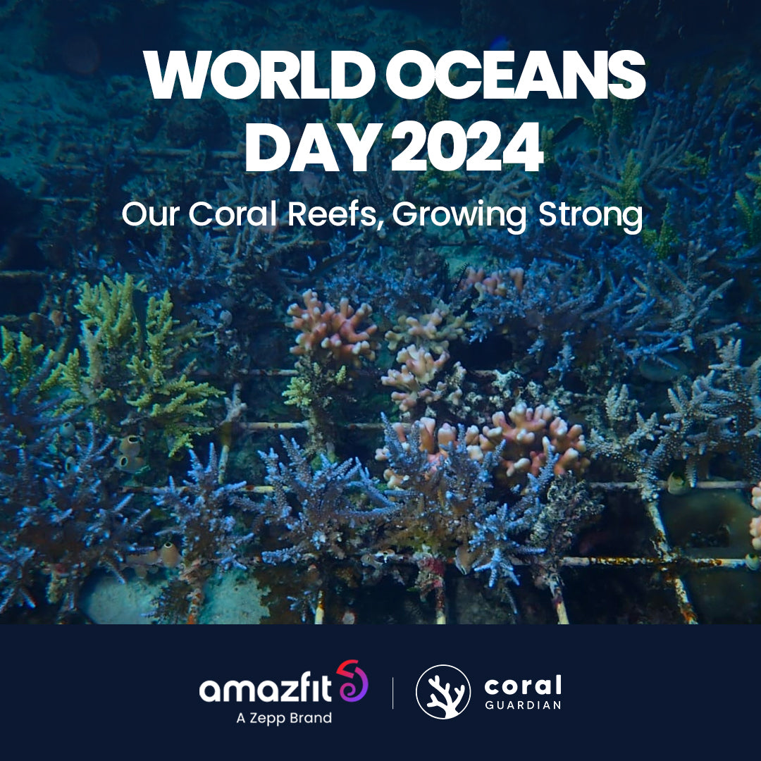 Zepp Health and Coral Guardian's Restored Coral Reefs, One Year Later